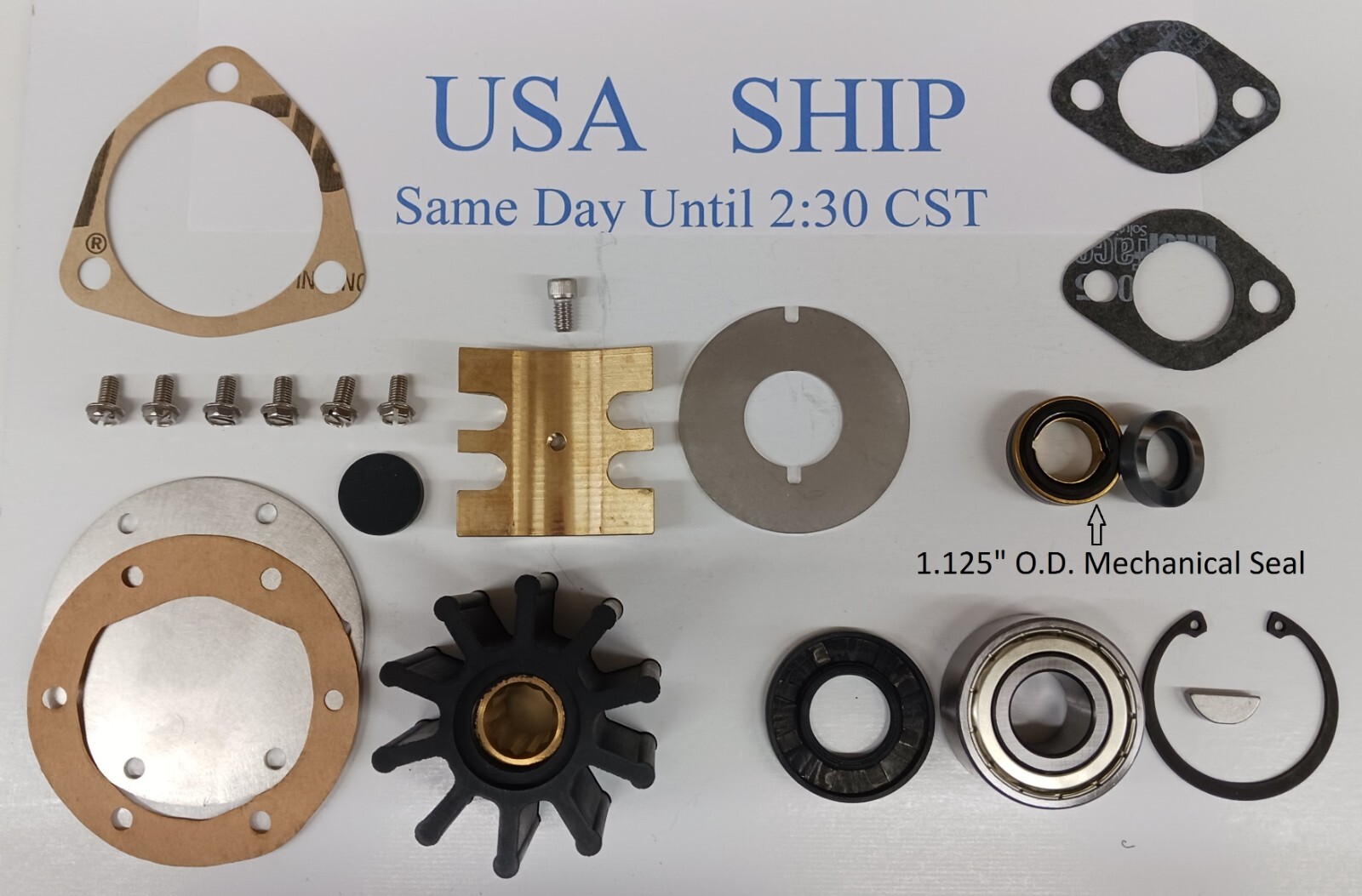 Major Repair Kit For Jabsco 17050-0001 Raw Sea Water Pump