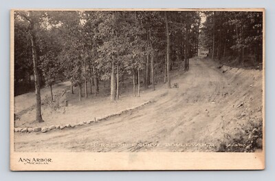 Antique Old Postcard ANN ARBOR Michigan Horseshoe Curve Blvd MI Dirt Streets