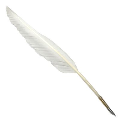 12'' White Goose Feather Quill with Brass Nib Holder- Antique Reproduction