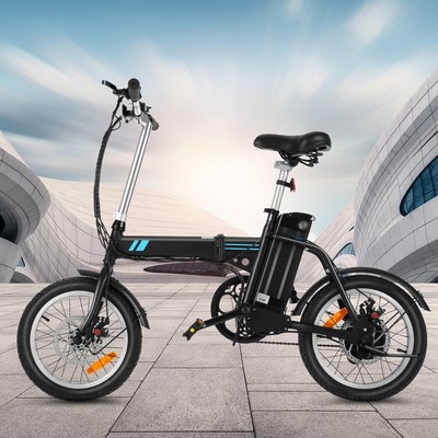 ecobike elegance 36 battery