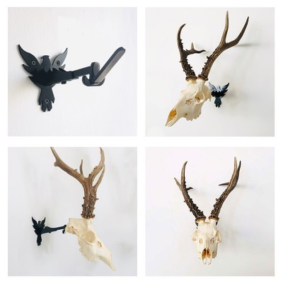 6 Stainless Steel European Skull Mount Hanger Deer /& Hog KRENEK SKULL BRACKET