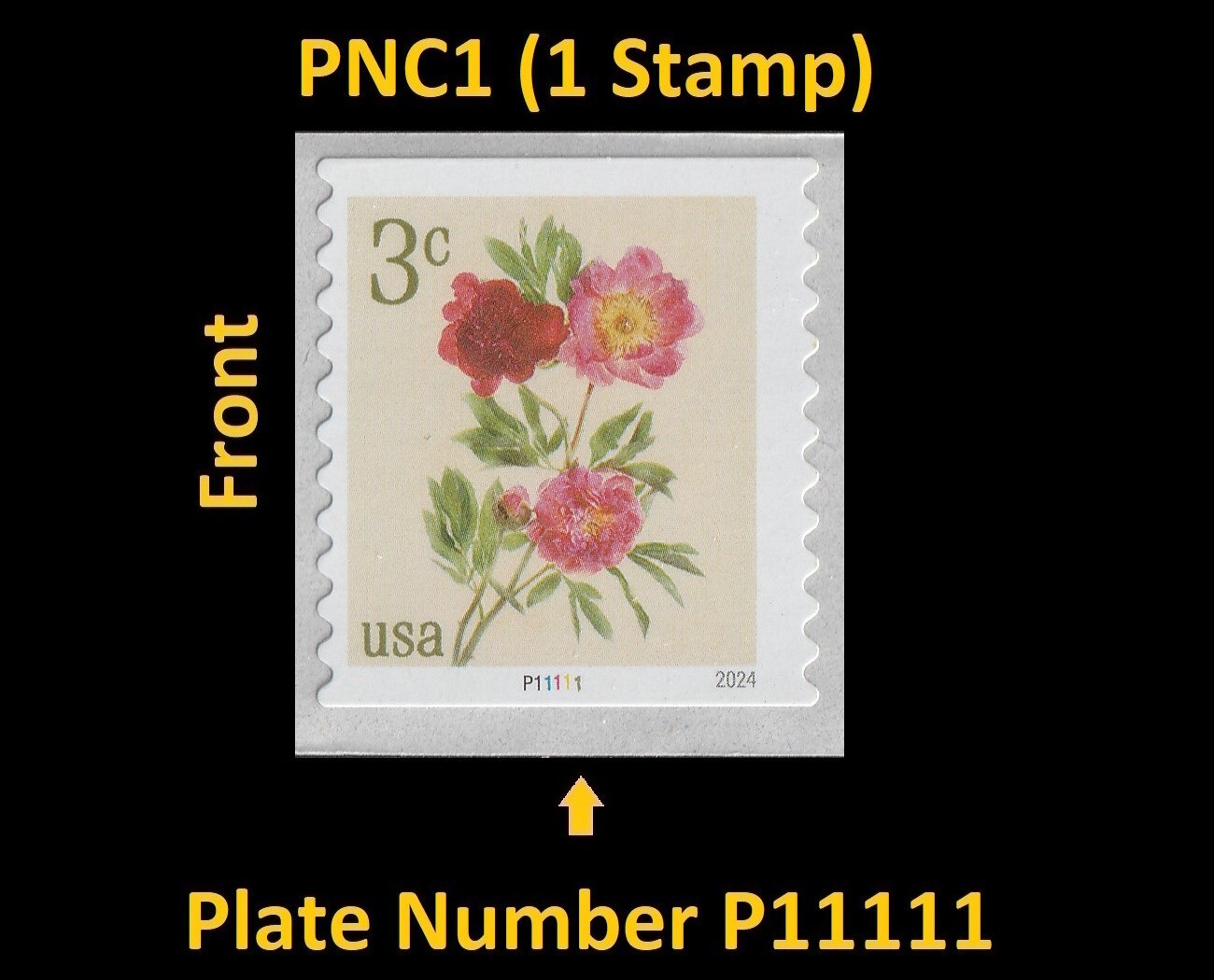 US 5904 Flowers Peonies 3c PNC1 P11111 MNH 2024 | eBay