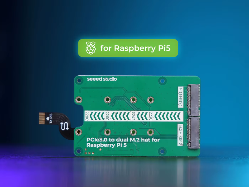PCIe3.0 Switch to dual M.2 hat for Raspberry Pi 5, Support NVMe SSD,Hailo8/8L an