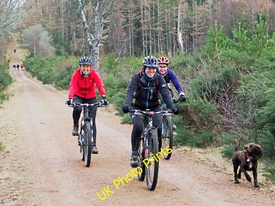 Photo 12x8 Sunday afternoon cycling on the forest road beside Bogbuie Wood c2015