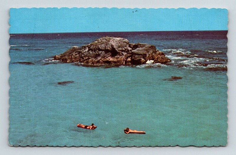 Clear Blue Waters South Shore Ocean Waves Dexter Press Inc Vintage Postcard