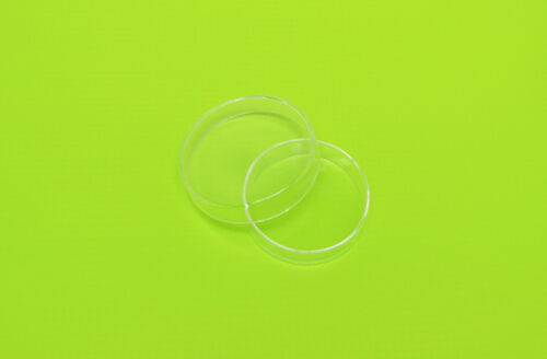 Petri Dish Borosilicate Glass Culture Tissue 60mm LAB Specimen NEW