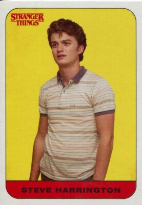 stranger things スティーブ　サインカード　ジョーキーリー Joe Keery signed autographed 'Stranger Things' Steve
