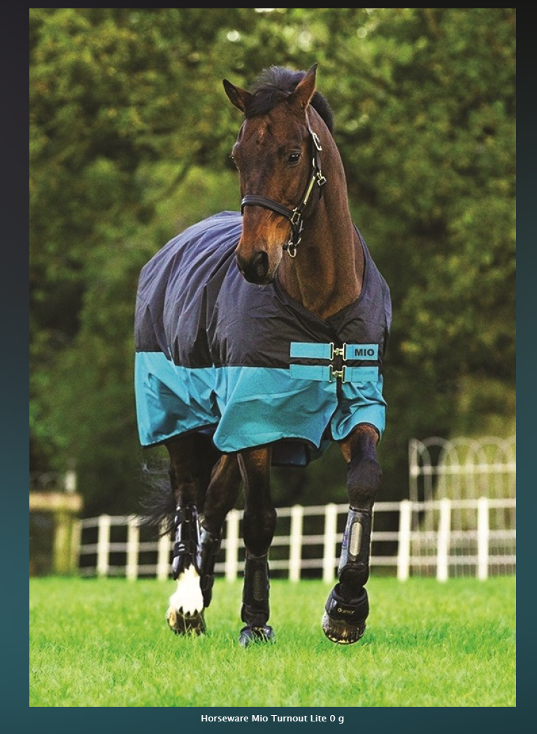  Horseware Amigo Mio Lite 600D Outdoordecke Gr 140 black/turquoise