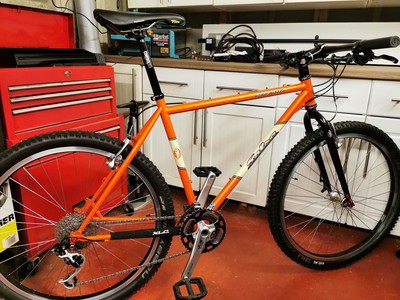 2006 19.5" Salsa Ala Carte Mountain Bike