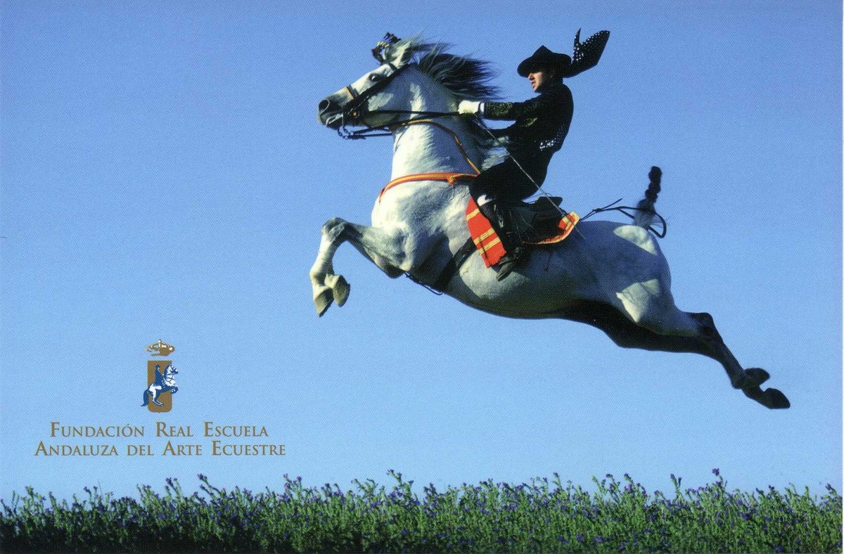 Лошадь бежит по воде. Келпи лошадь демон. Всадник на коне. Всадница фэнтези. Всадники дунэдайн.