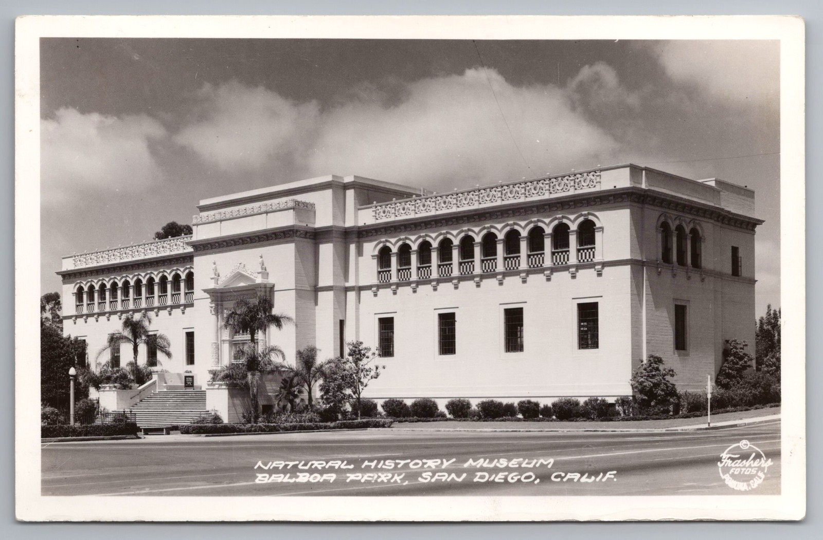 Rppc Natural History Museum Balboa Park San Diego California CA Unp Postcard