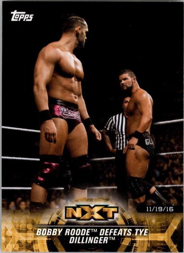 2018 Topps WWE NXT - Bobby Roode #14