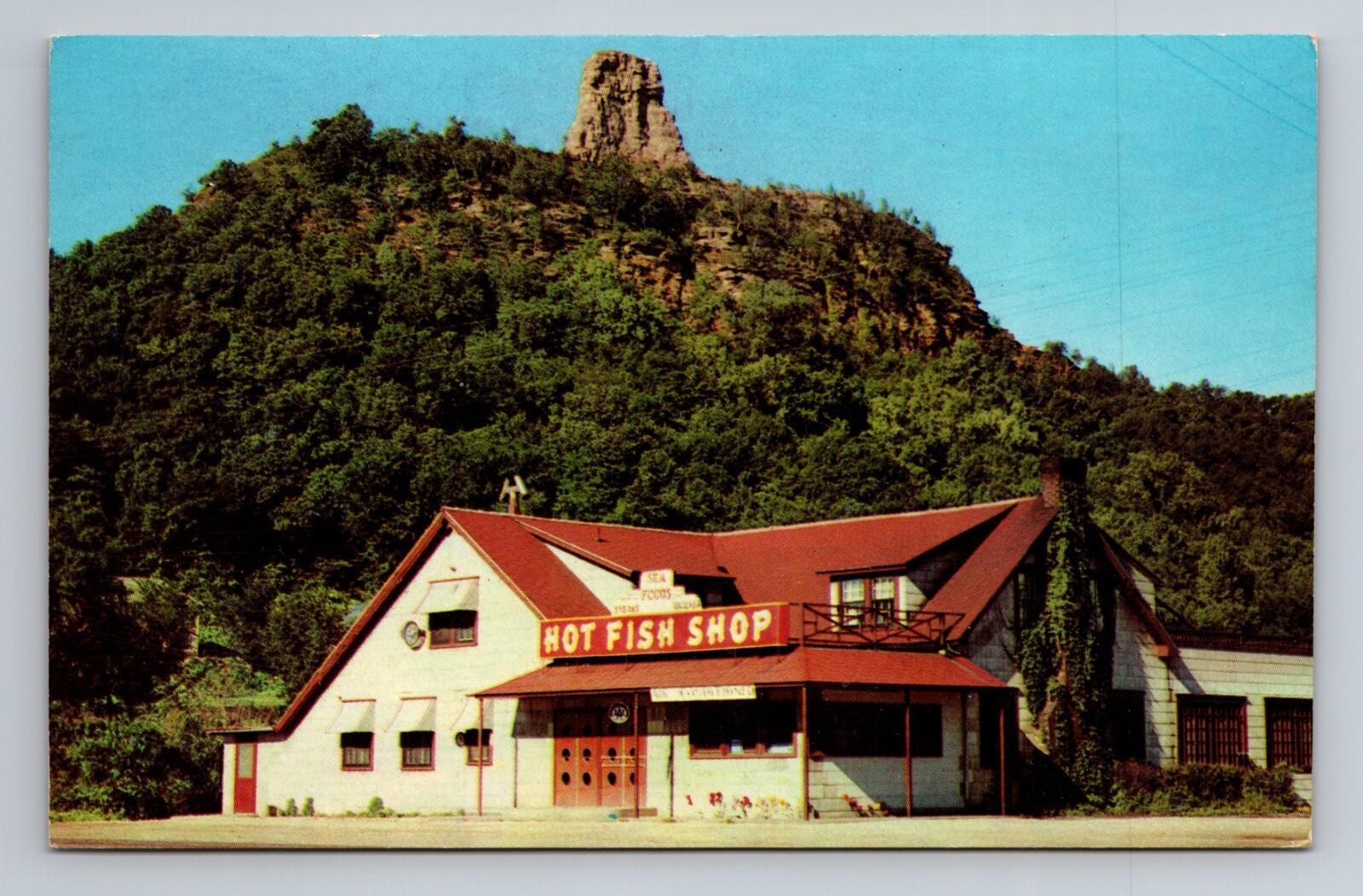 Vintage Hot Fish Shop Postcard Winona Minnesota Scenic