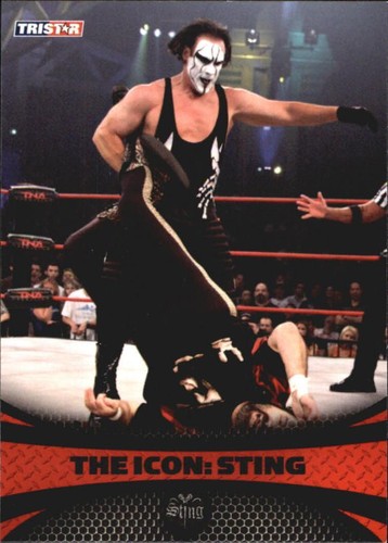 WWE TNA Impact Octagon Ring | eBay