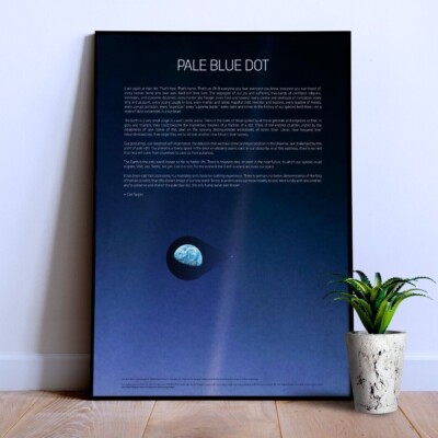 【ハードカバー】Pale Blue Dot Carl Sagan Pale Blue Dot: A Vision of the Human Future in Space: Carl