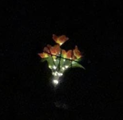 Artikelfoto(s) von einem verifizierten Käufer