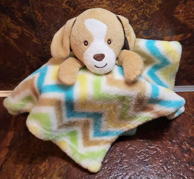 Dog with blanket over head new arrivals