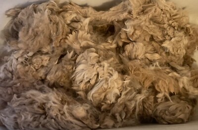 1.5 Pounds Of Raw Alpaca Fiber. Tan. Good quality. Soft.