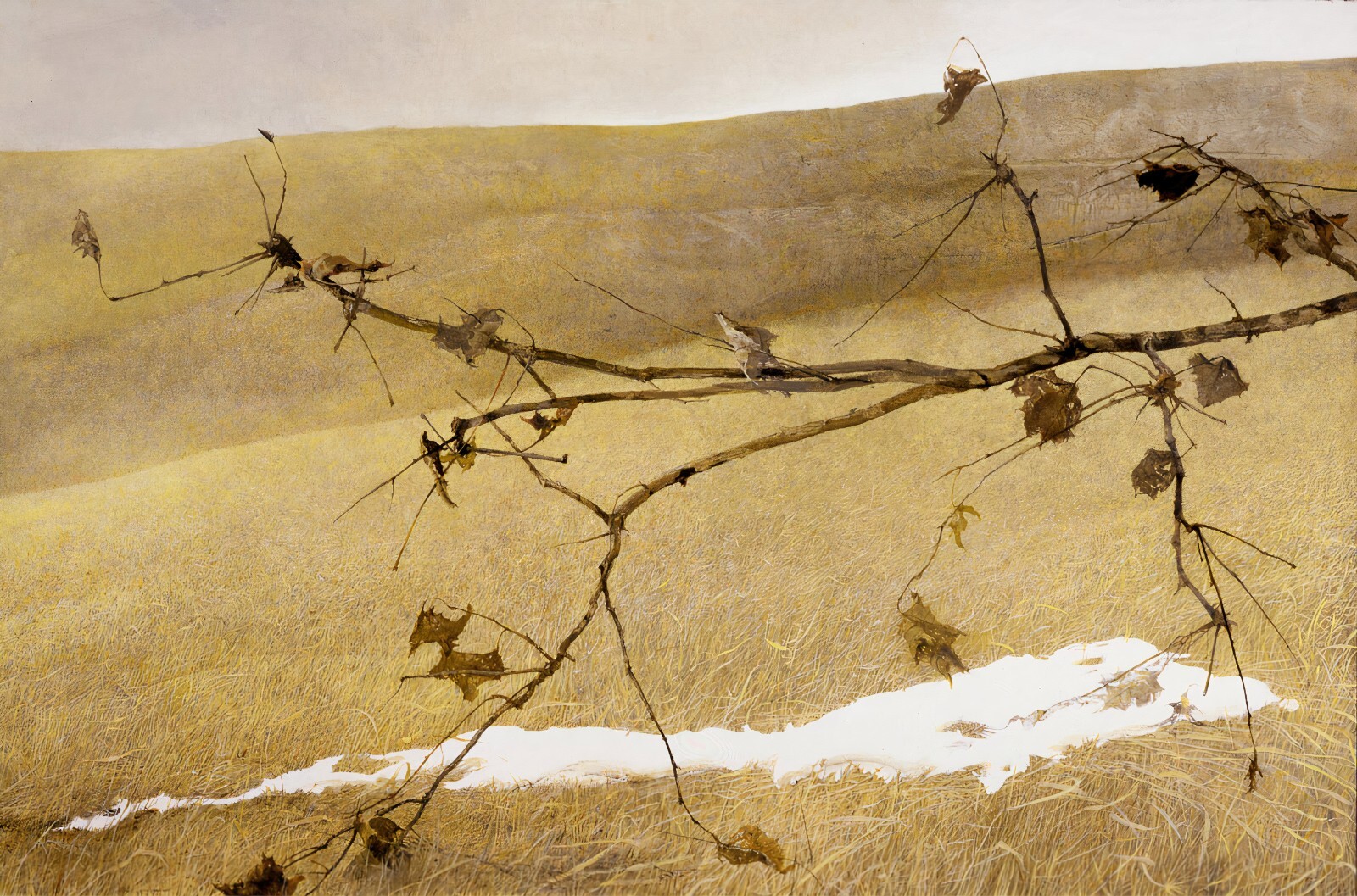 アート・デザイン・音楽 ANDREW WYETH Andrew Wyeth 
