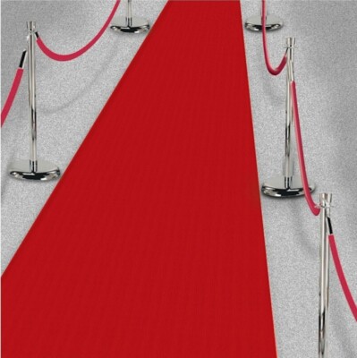 2 Pack Hollywood Long Red Carpet Runner Party Decorations 15ft x 2 ft-2pk