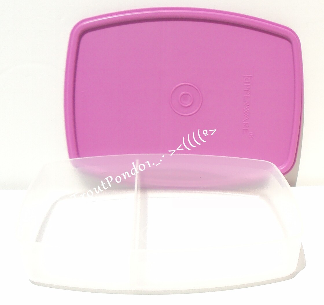 TUPPERWARE Packette Divided Container Purple Side by Side Slimline Lunch Box