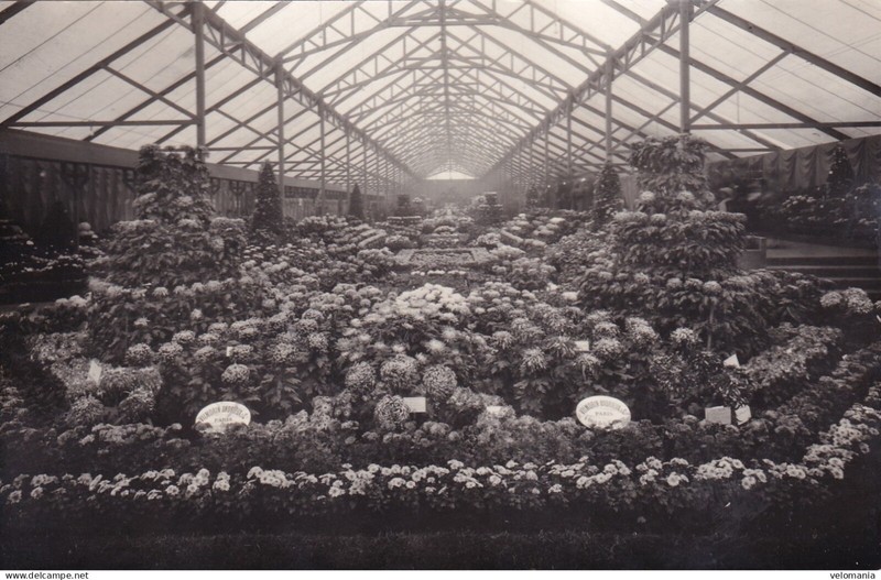 S16261 Cpa Paris - Exposition D' Horticulture 