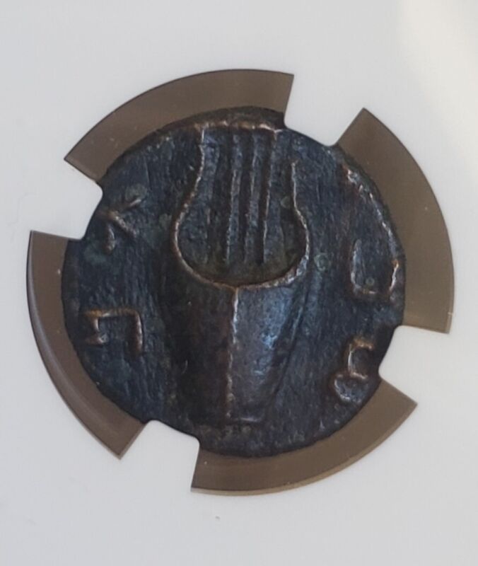 Judaea Bar Kokhba Middle Bronze Palm In Wreath NGC CH VF Ancient Coin