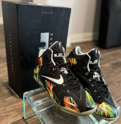 lebron 11 size 9.5