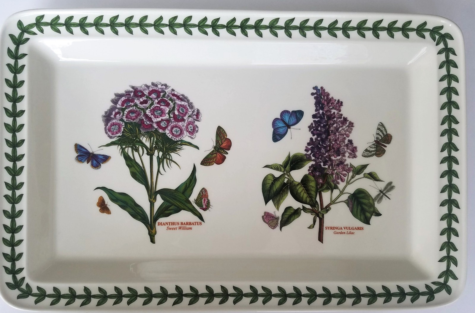 Portmeirion Botanic Garden 16 1/8