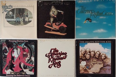 The Amazing Rhythm Aces The Studio Album Collection 1975-1980 Vinyl Very Good +