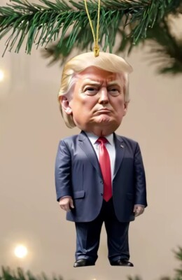 Décoration De Noël  Inspiré De Trump Humour Cadeau 
