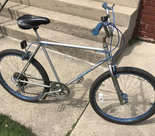 1981 Schwinn Sidewinder /Jaguar Panther Stingray
