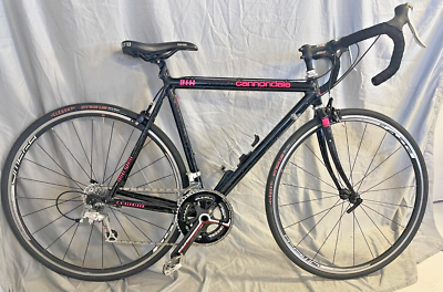 Brifters bike 2024