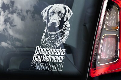 Chesapeake Bay Retriever Sticker, Car Window Sign, Pet Dog Owner Gift Idea -v123