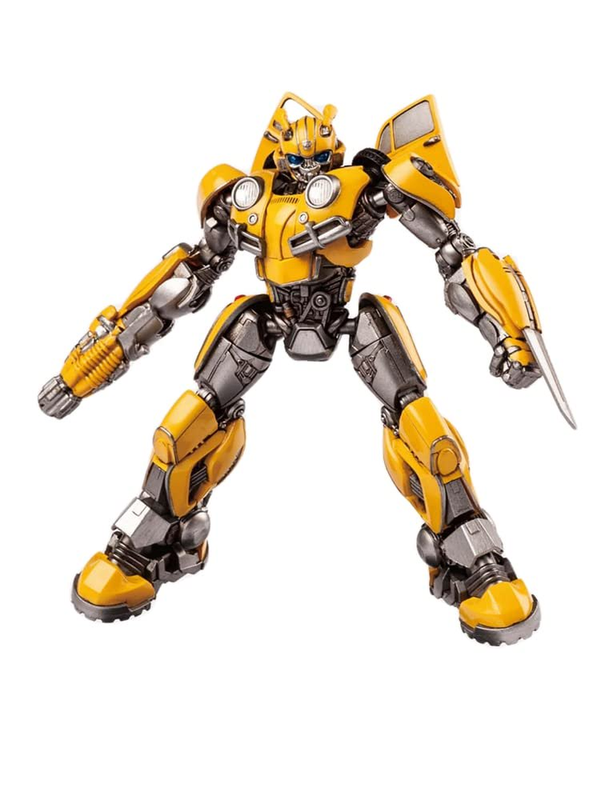 Beetle Easy To Assemble 3d Articulated A