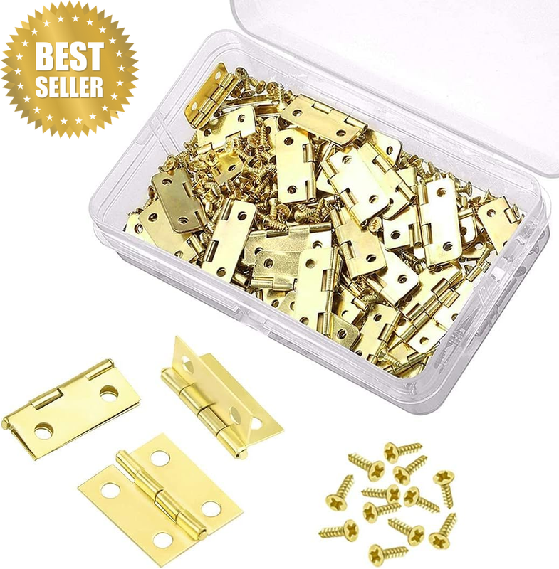 Mini Brass Hinges for Crafts 50 Pieces with 200 Screws