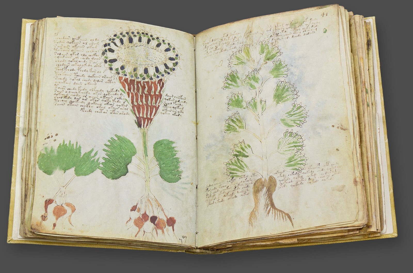 Voynich Manuscript Facsimile Faithful Leatherbound Reproduction