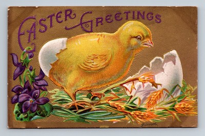 Baby Chick Cracked Egg Shell Violets Flowers Vintage Easter Postcard