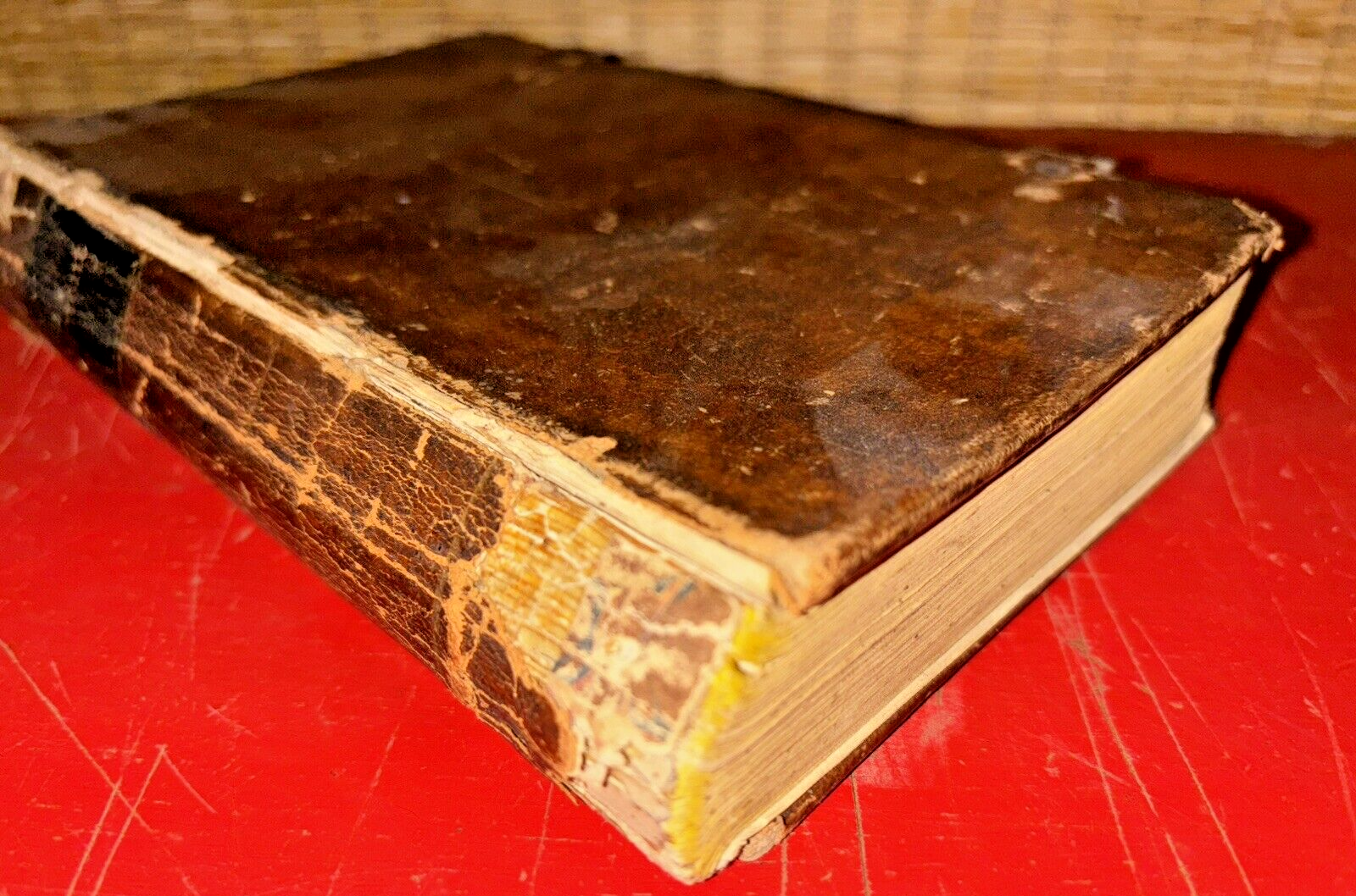 Luther-NT 新約聖書 1975年版　古書 THE BIBLE 旧約聖書続編つき NI35DCZTIミニ判(B7判)橙 (聖書 新
