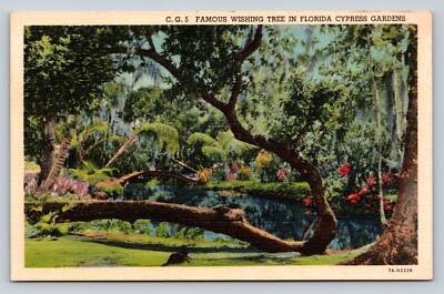 Florida Cypress Gardens Scenery w/ Famous Wishing Tree VINTAGE Postcard 
