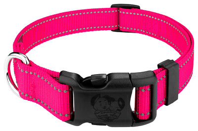 Country Brook Petz  Deluxe Reflective Nylon Dog Collar