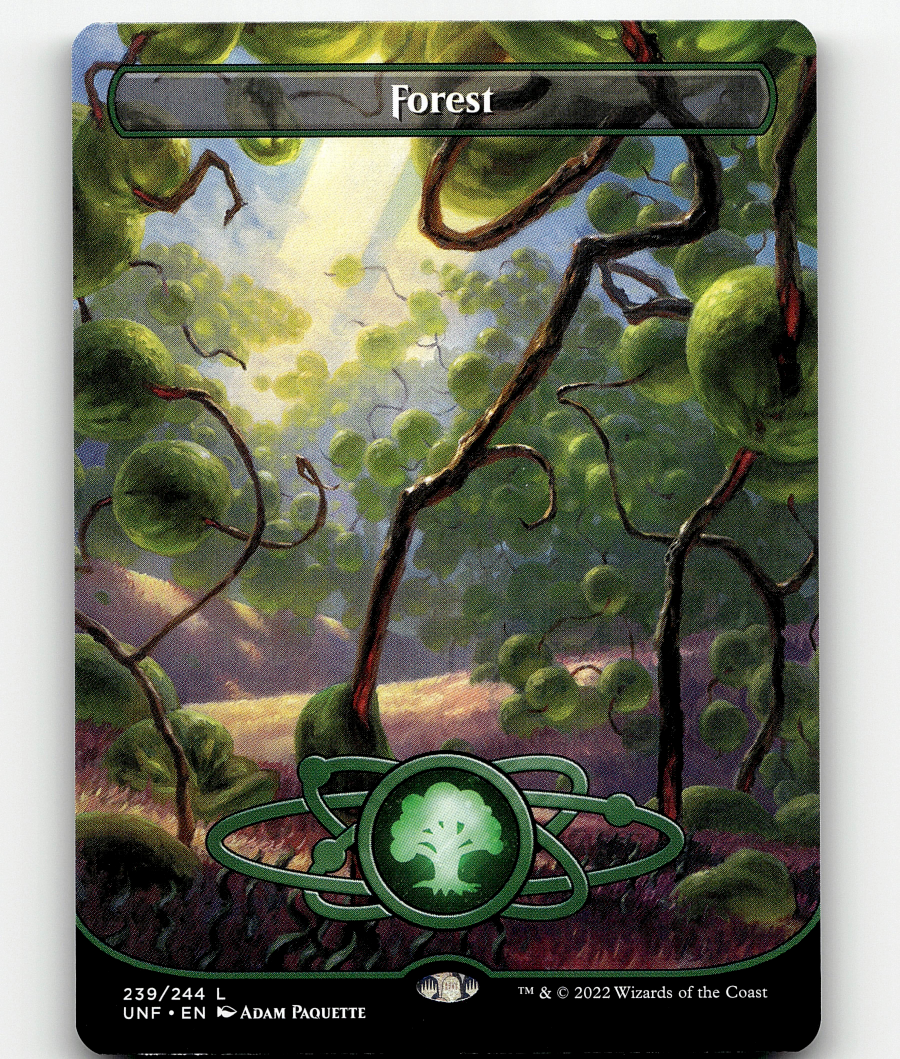 森 / Forest 英 10枚セット アンヒンジド 土地 [MTG] 森 / Forest 英 10枚セット アンヒンジド 土地 [MTG] 森 [MOM