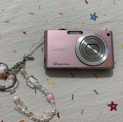 Panasonic LUMIX DMC-FX40 Compact Camera 12MP Leica Lens