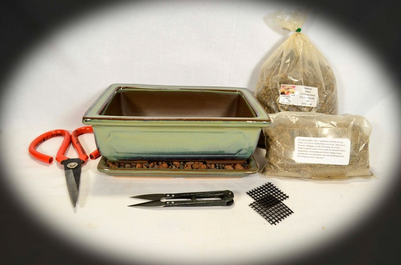 Bonsai Schale Japan GrÃ¼N 16x12x6 Cm 811 _3  Ficus Wacholder Kiefer Serissa Z.B