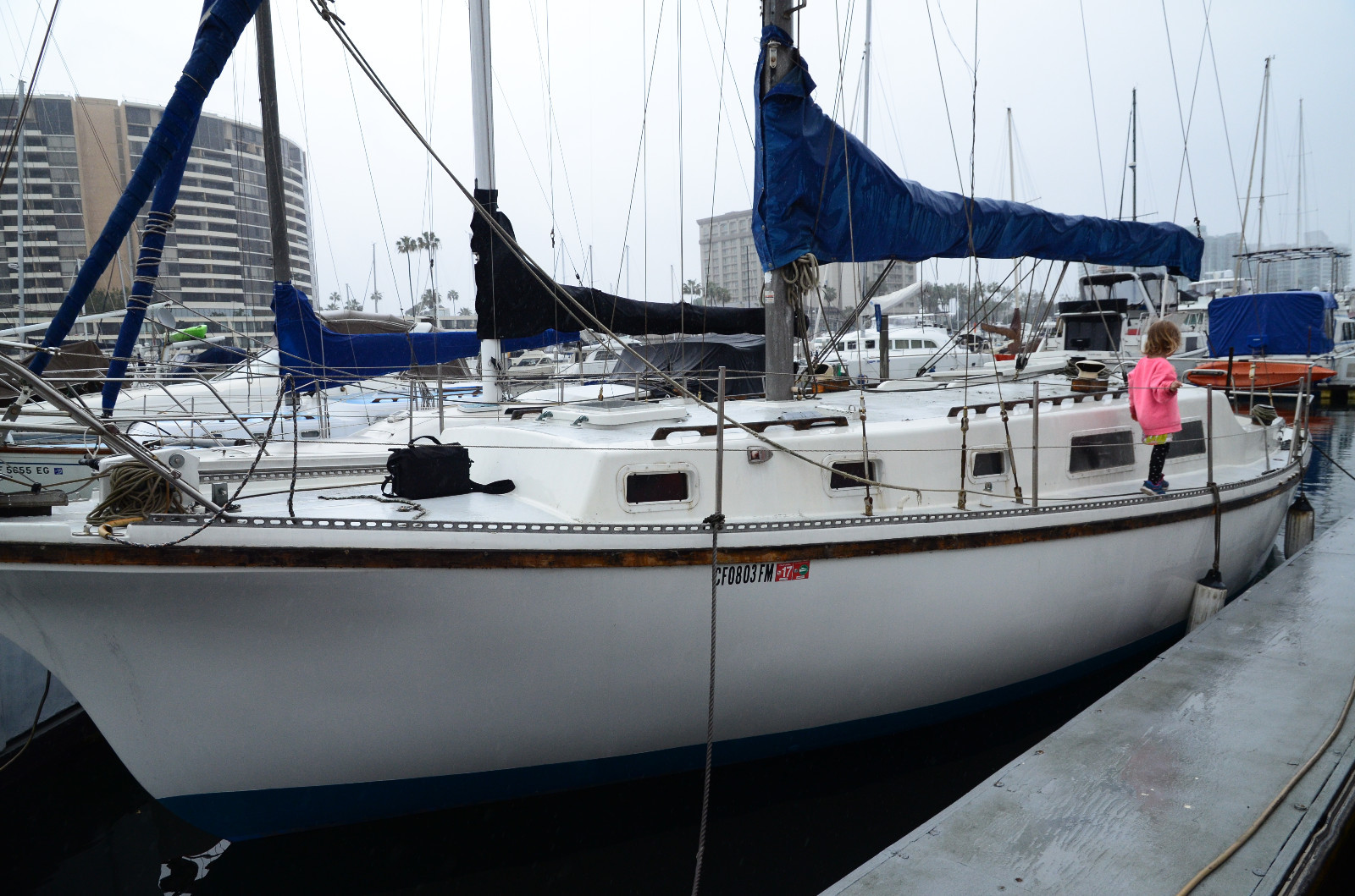 NO RSRV-SPACIOUS GLOBAL CRUISER- $8K Diesel Engine Runs Exlnt. PERFECT 4 ISLANDS