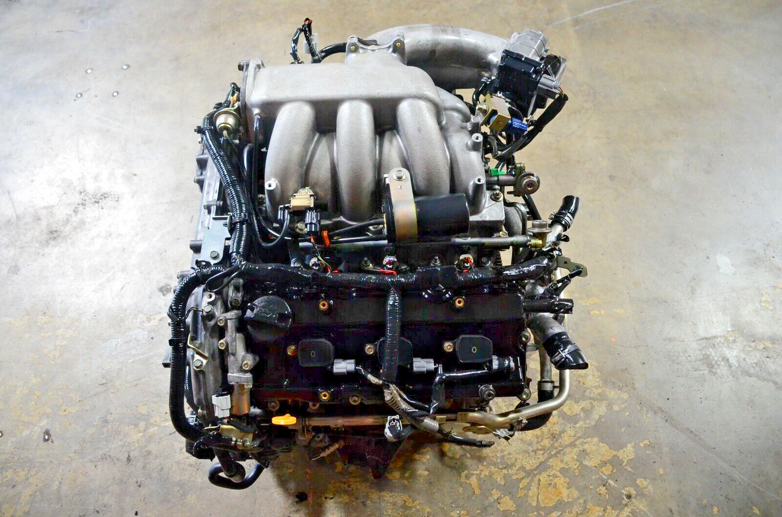 あまみページ 2004 Nissan Maxima (3.5 Liter Engine, Vin B)