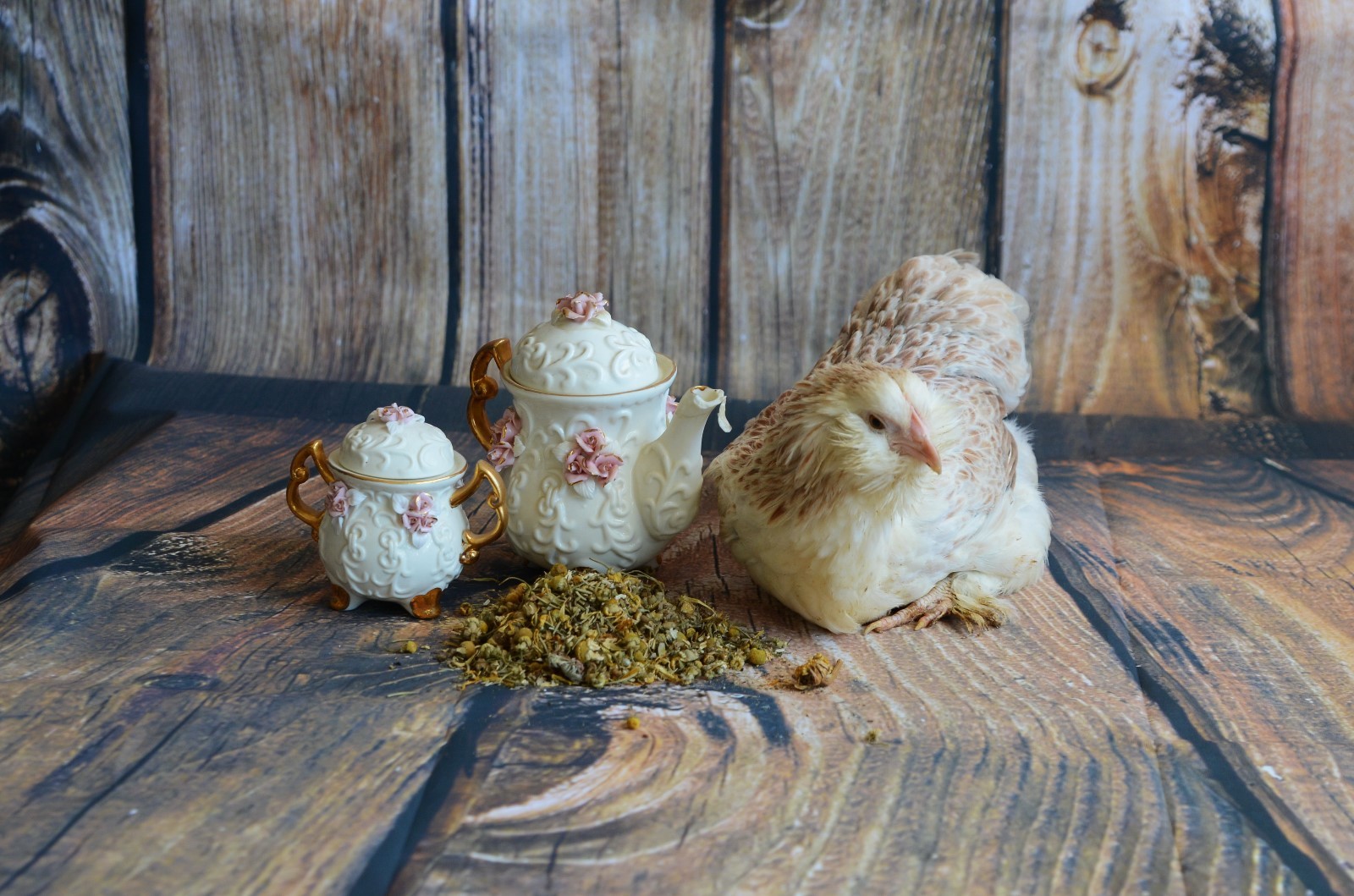 TarBox Poultry Tea 8 oz-  Herb Tea Support Immune Health of Poultry