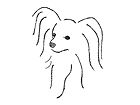 Papillon Pals Rescue Inc