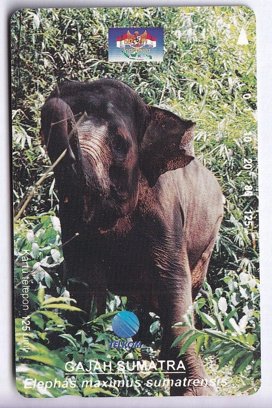 Asie  Telecarte / Phonecard .. Indonesie 1250u Tamura Telkom Elephant Elefant