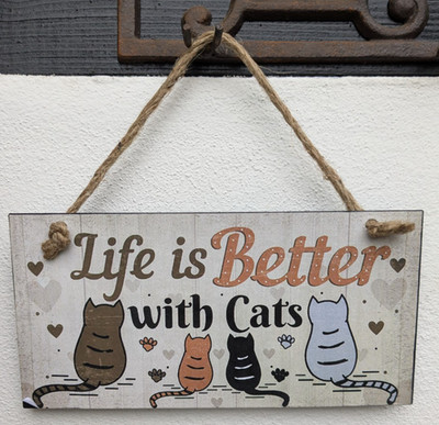 ❤️ Schild mit Spruch Life is better with cats  20 x 10 cm  Isabelle Rose ❤️